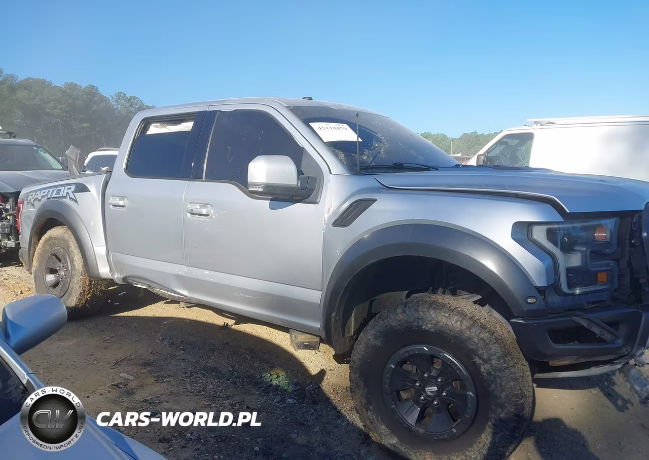 2017 Ford F-150 Raptor VIN:1FTFW1RG9HFC88981 - 13