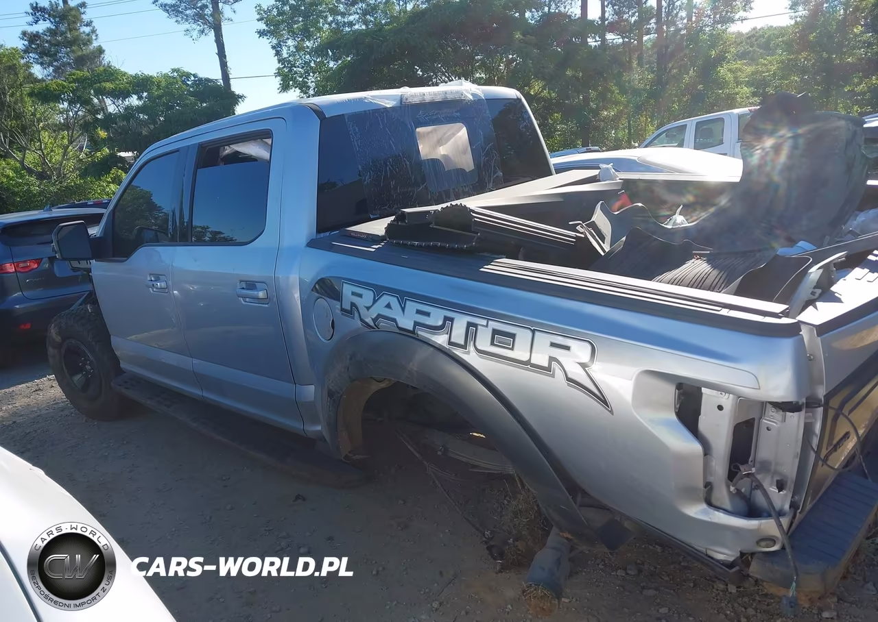 2017 Ford F-150 Raptor VIN:1FTFW1RG9HFC88981 - 14