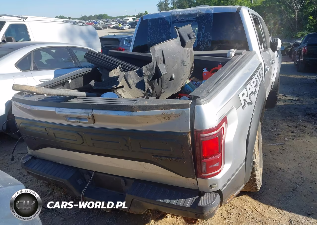 2017 Ford F-150 Raptor VIN:1FTFW1RG9HFC88981 - 16