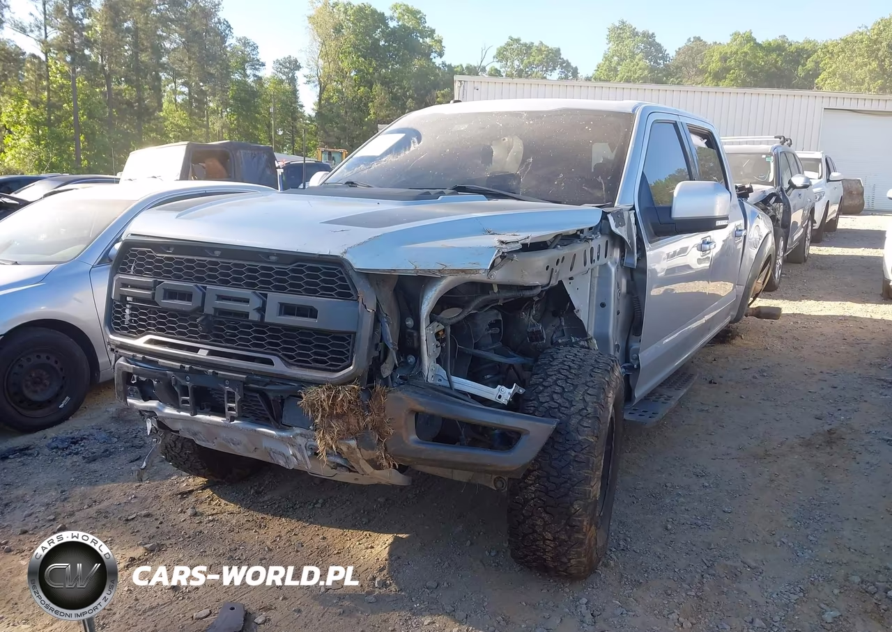 2017 Ford F-150 Raptor VIN:1FTFW1RG9HFC88981 - 2