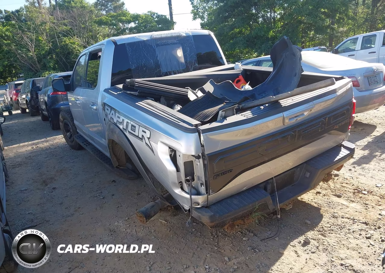 2017 Ford F-150 Raptor VIN:1FTFW1RG9HFC88981 - 3