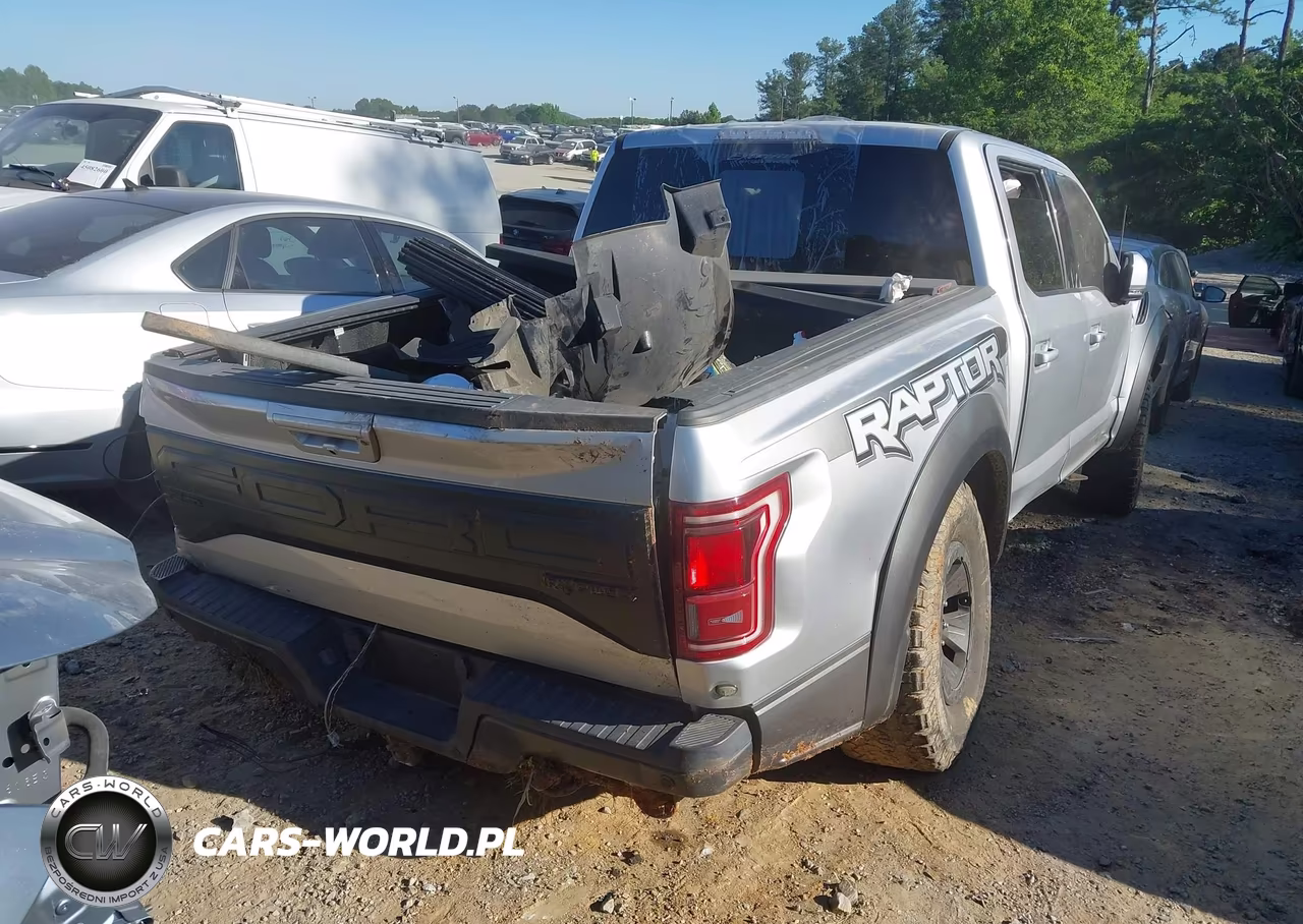 2017 Ford F-150 Raptor VIN:1FTFW1RG9HFC88981 - 4