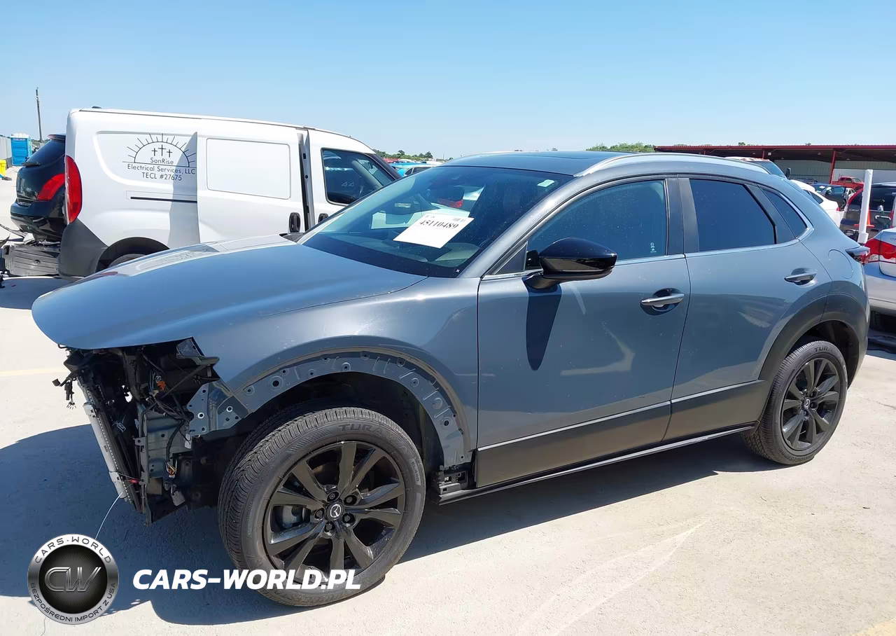2023 Mazda Cx-30 2.5 S Carbon Edition VIN:3MVDMBCM0PM556976 - 19