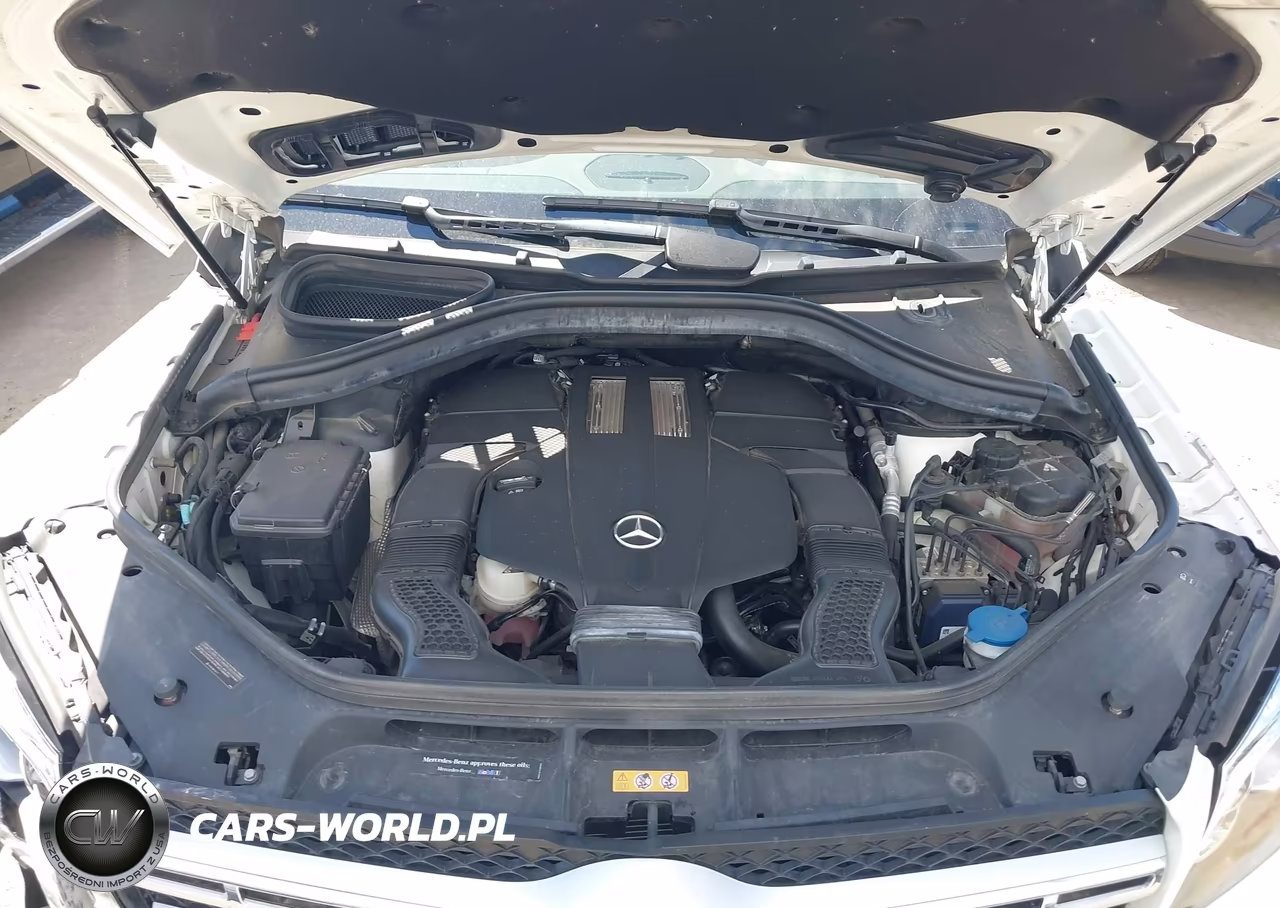 2017 Mercedes-Benz Gls 450 4Matic VIN:4JGDF6EE7HA968461 - 10