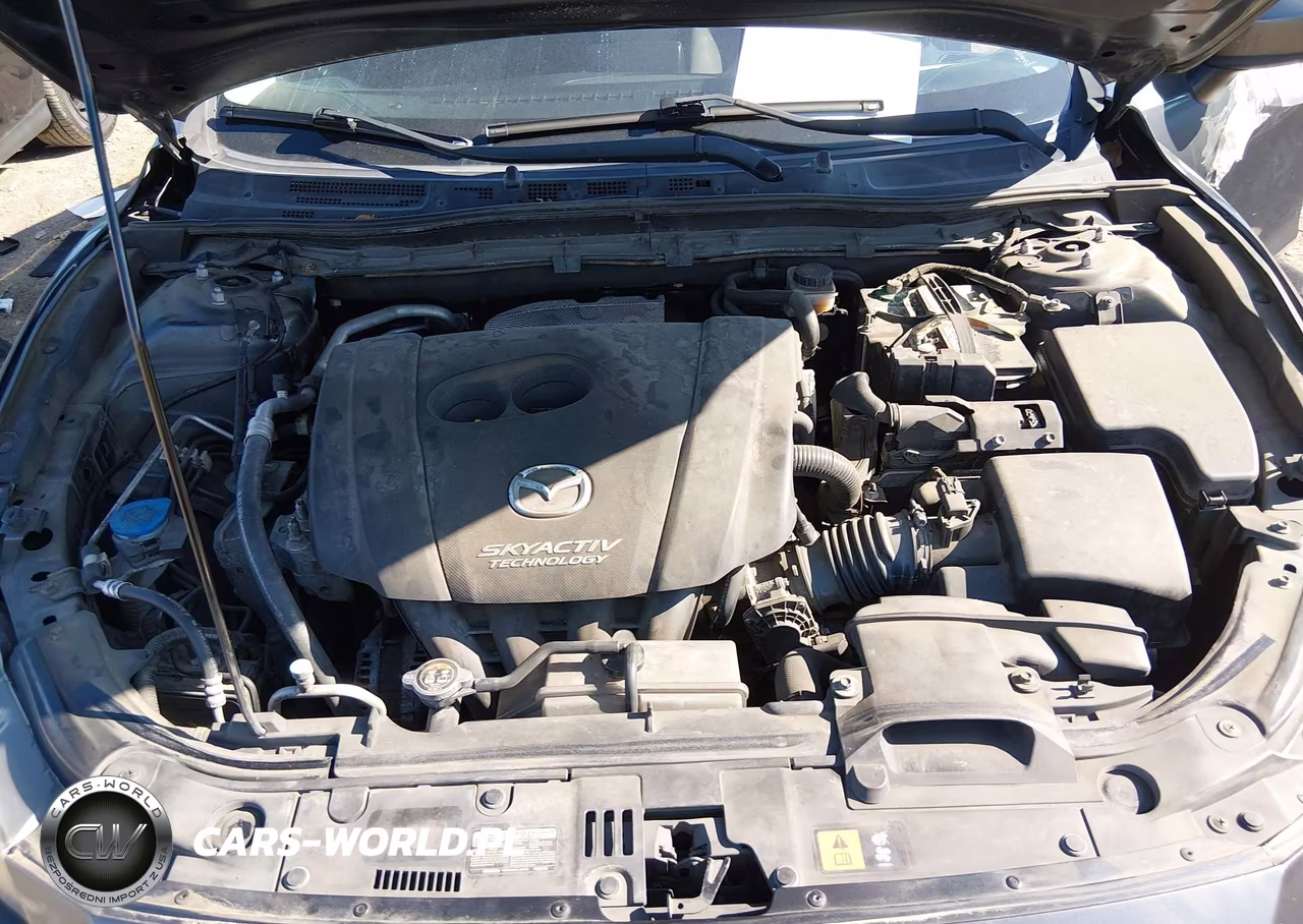 2014 Mazda Mazda3 I Sport VIN:JM1BM1U71E1127786 - 10