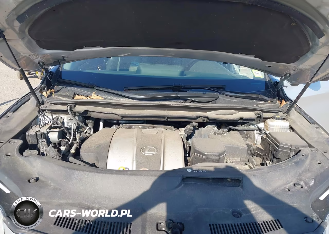2019 Lexus Rx 350 VIN:JTJBZMCA7K2038209 - 10