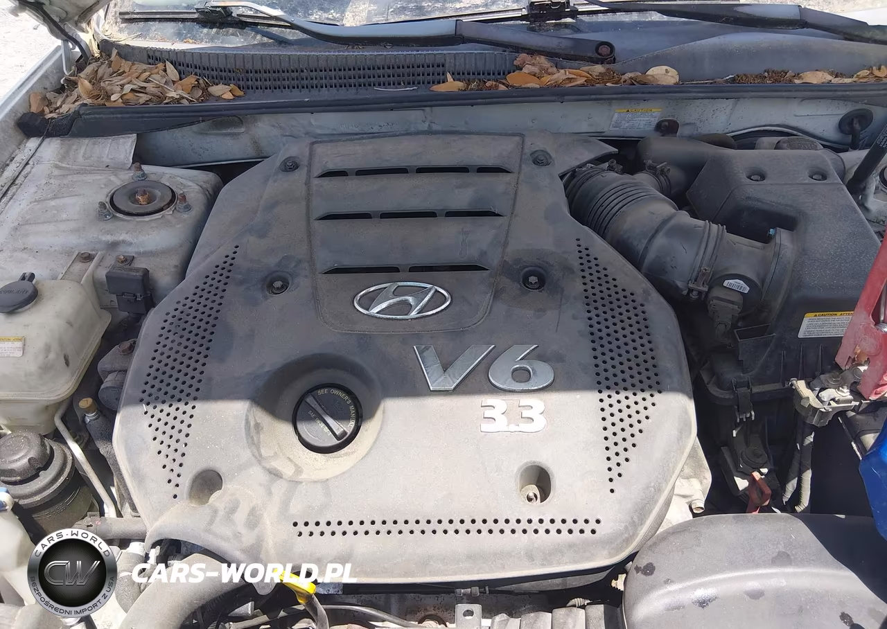 2008 Hyundai Sonata Limited V6-Se V6 VIN:5NPEU46F28H365548 - 10
