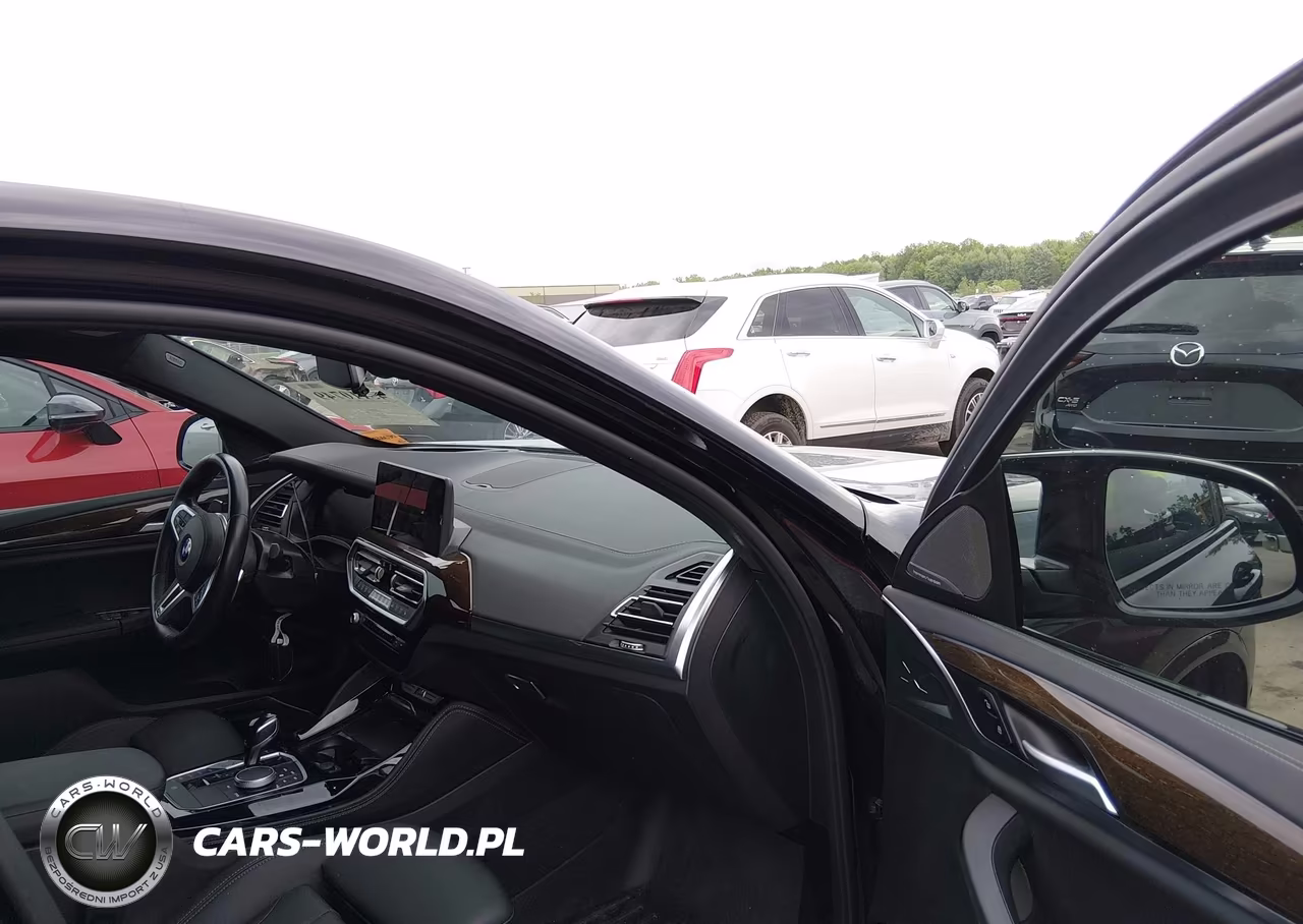 2023 BMW X4 M40I VIN:5UX43DT05P9S00064 - 5
