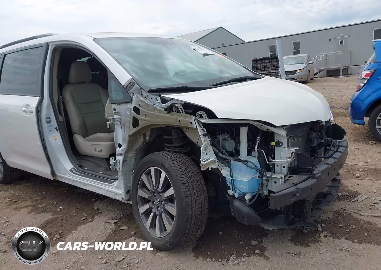 2019 Toyota Sienna Xle Premium 7 Passenger VIN:5TDDZ3DCXKS223661 - 6