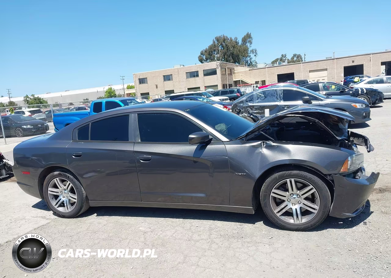 2014 Dodge Charger R-T VIN:2C3CDXCT1EH306924 - 13