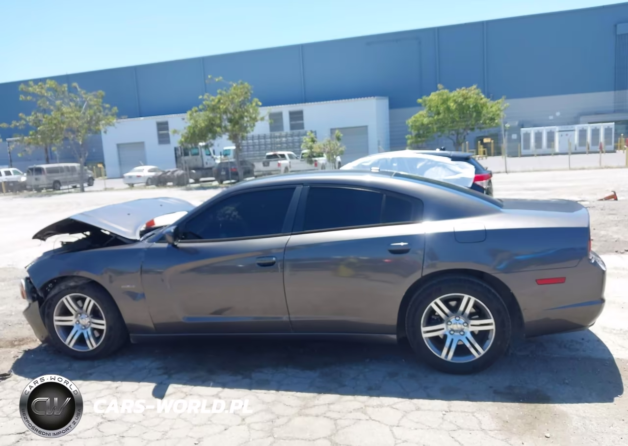 2014 Dodge Charger R-T VIN:2C3CDXCT1EH306924 - 14