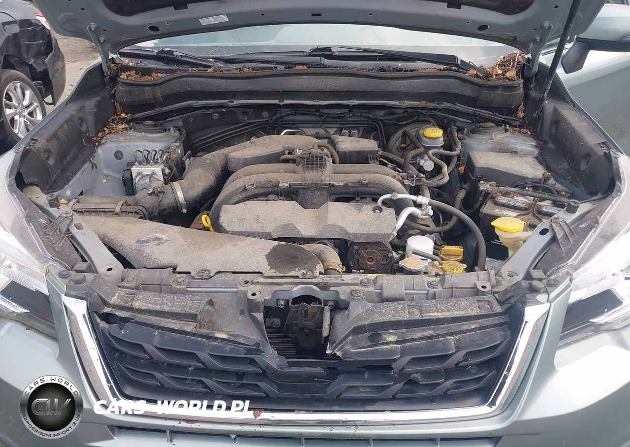 2017 Subaru Forester 2.5I Touring VIN:JF2SJATC5HH417386 - 10