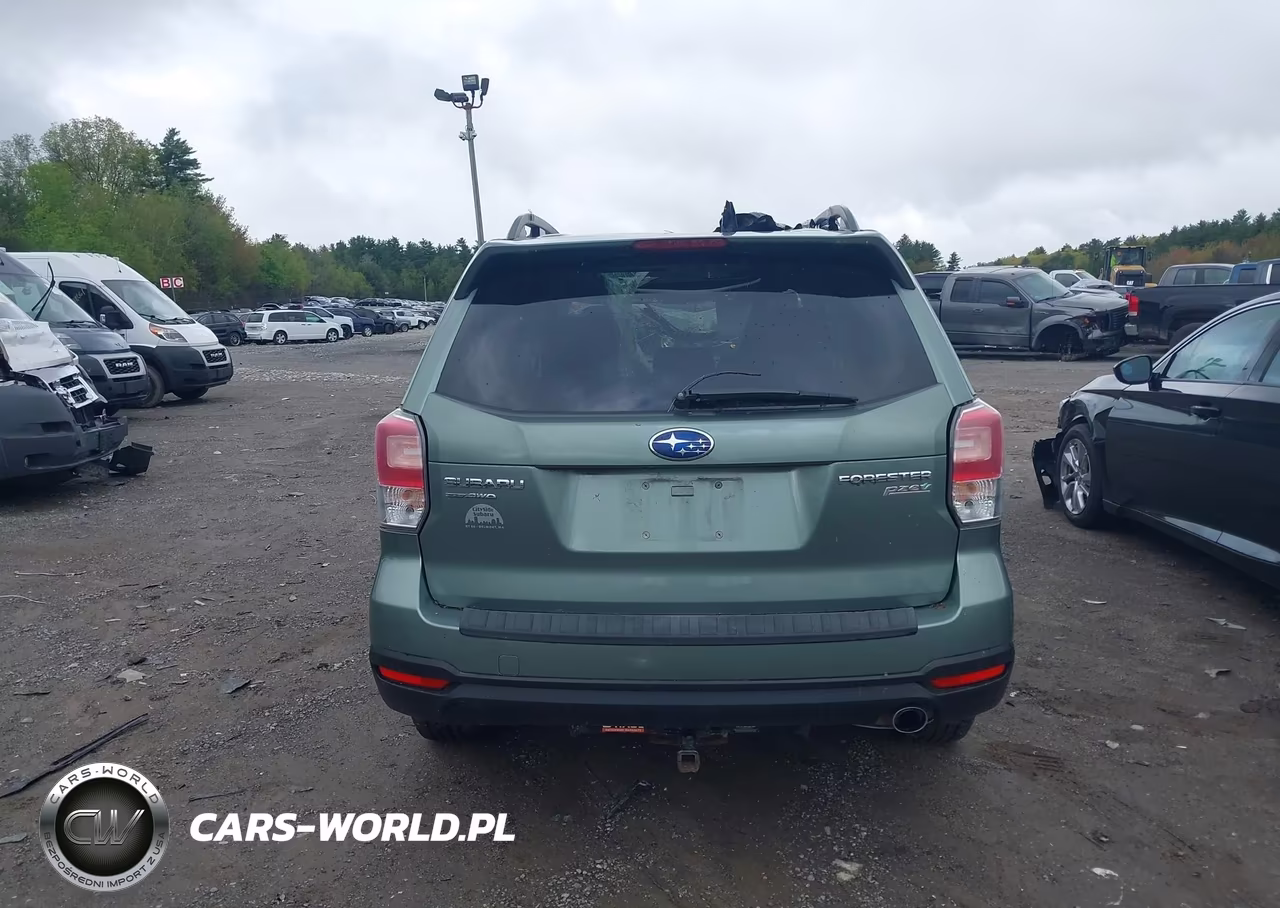 2017 Subaru Forester 2.5I Touring VIN:JF2SJATC5HH417386 - 16