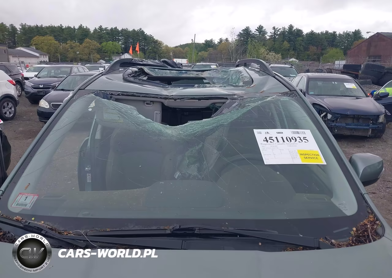 2017 Subaru Forester 2.5I Touring VIN:JF2SJATC5HH417386 - 6