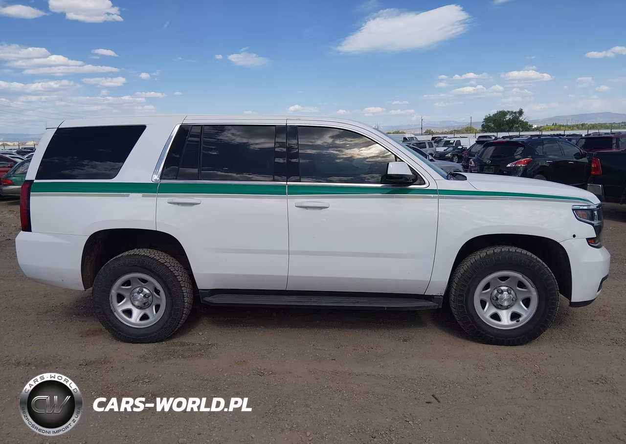 2020 Chevrolet Tahoe 4Wd Commercial Fleet VIN:1GNSKFEC6LR114360 - 13
