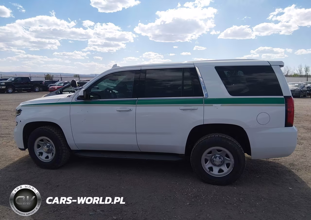 2020 Chevrolet Tahoe 4Wd Commercial Fleet VIN:1GNSKFEC6LR114360 - 14