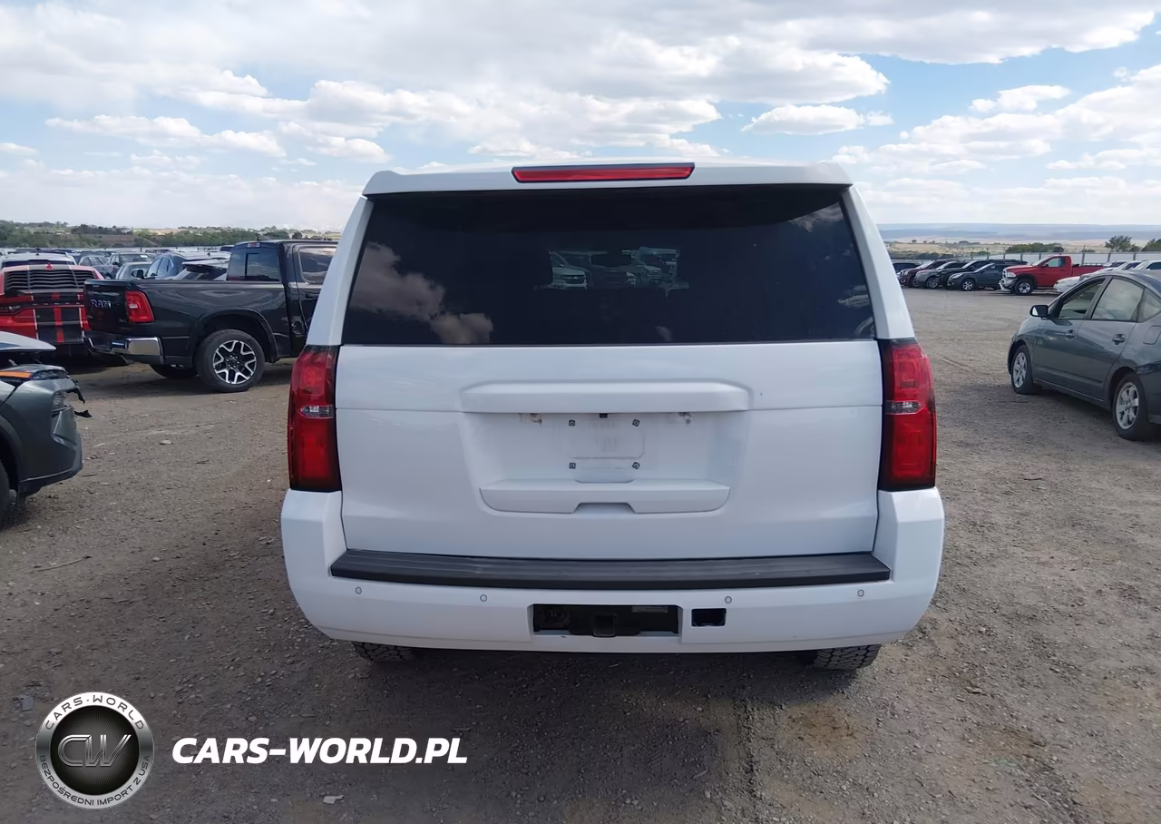 2020 Chevrolet Tahoe 4Wd Commercial Fleet VIN:1GNSKFEC6LR114360 - 16