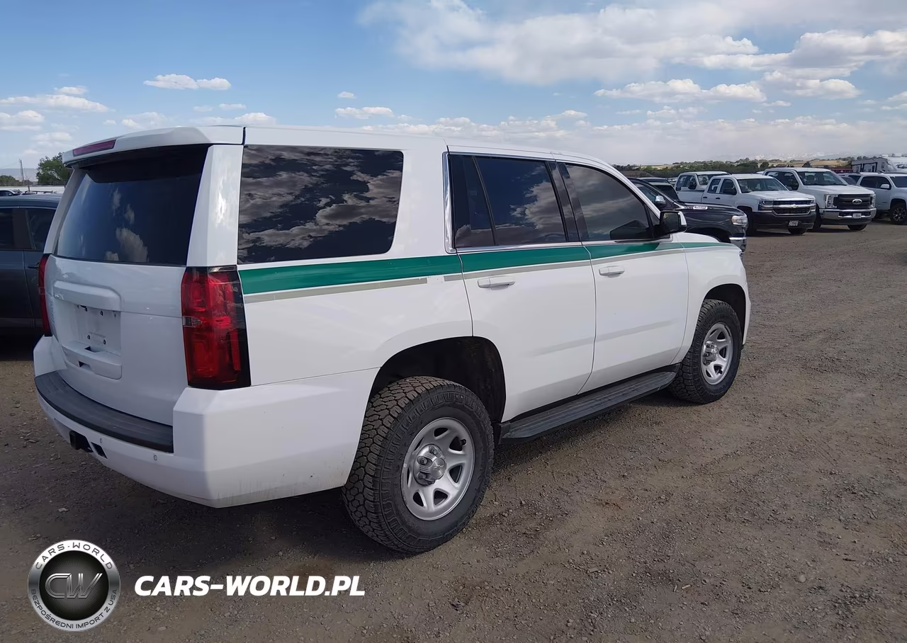 2020 Chevrolet Tahoe 4Wd Commercial Fleet VIN:1GNSKFEC6LR114360 - 4