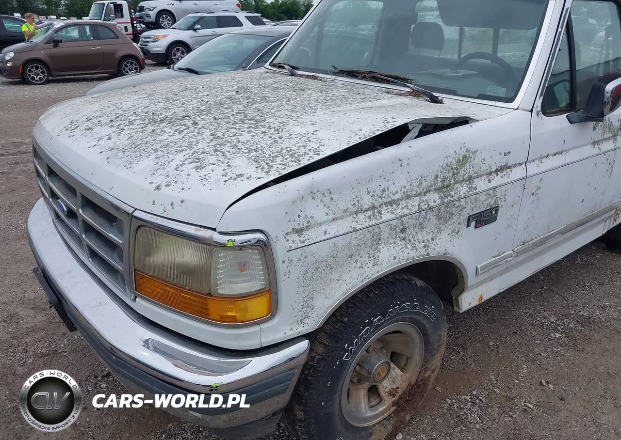 1994 Ford F150 VIN:1FTEF15NXRNA37734 - 6