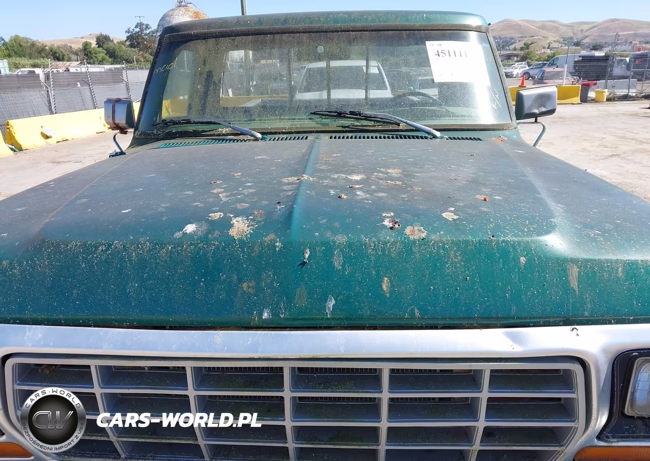 1979 Ford Pick Up VIN:F26HRFA5665 - 10