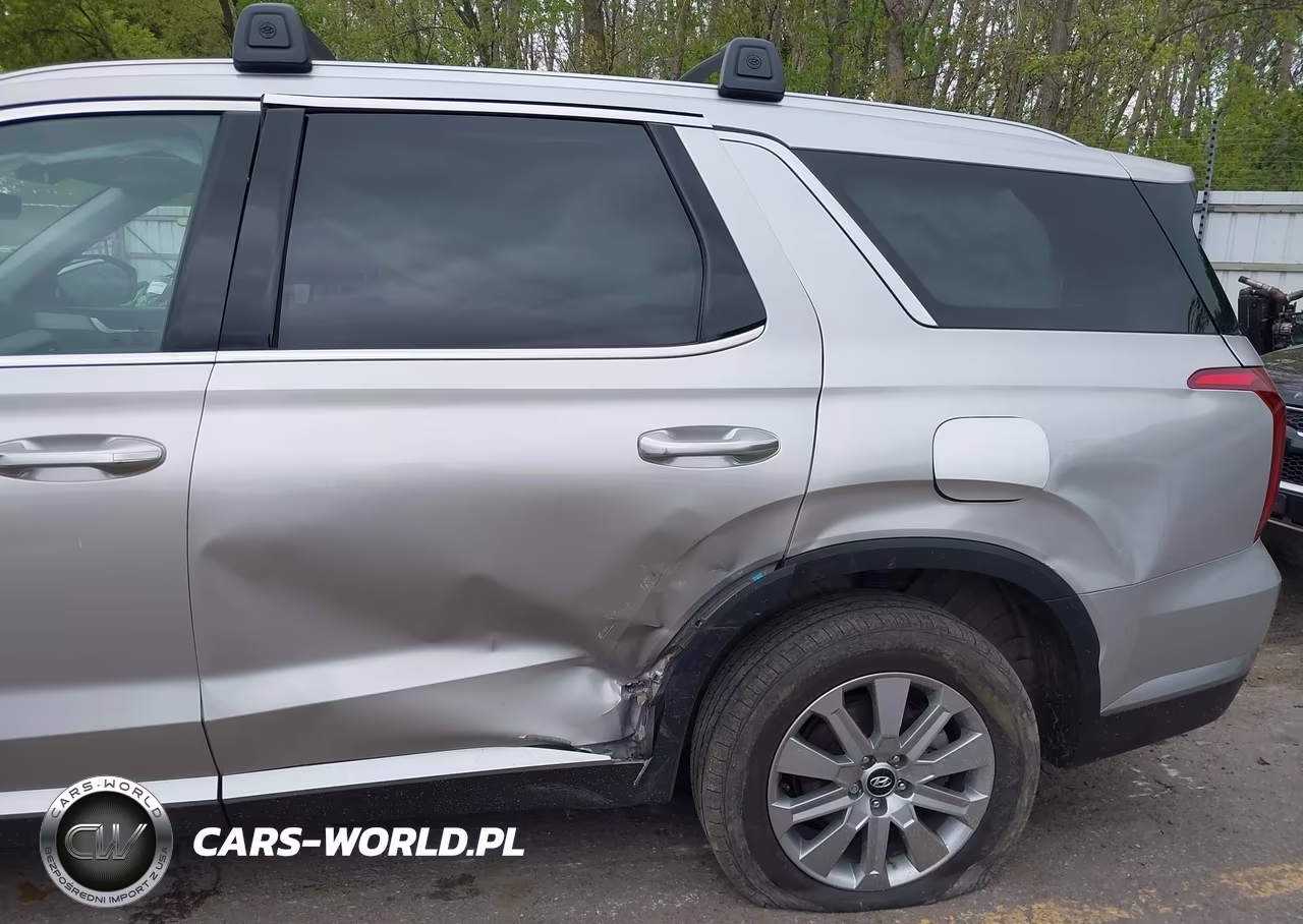 2025 Hyundai Palisade Sel VIN:KM8R24GE4SU855494 - 6