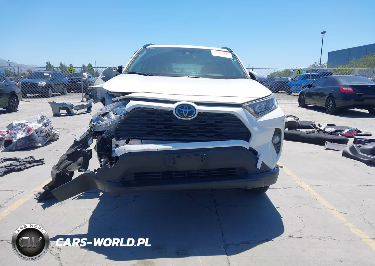 2019 Toyota Rav4 Xle VIN:JTMP1RFVXKD500892 - 12