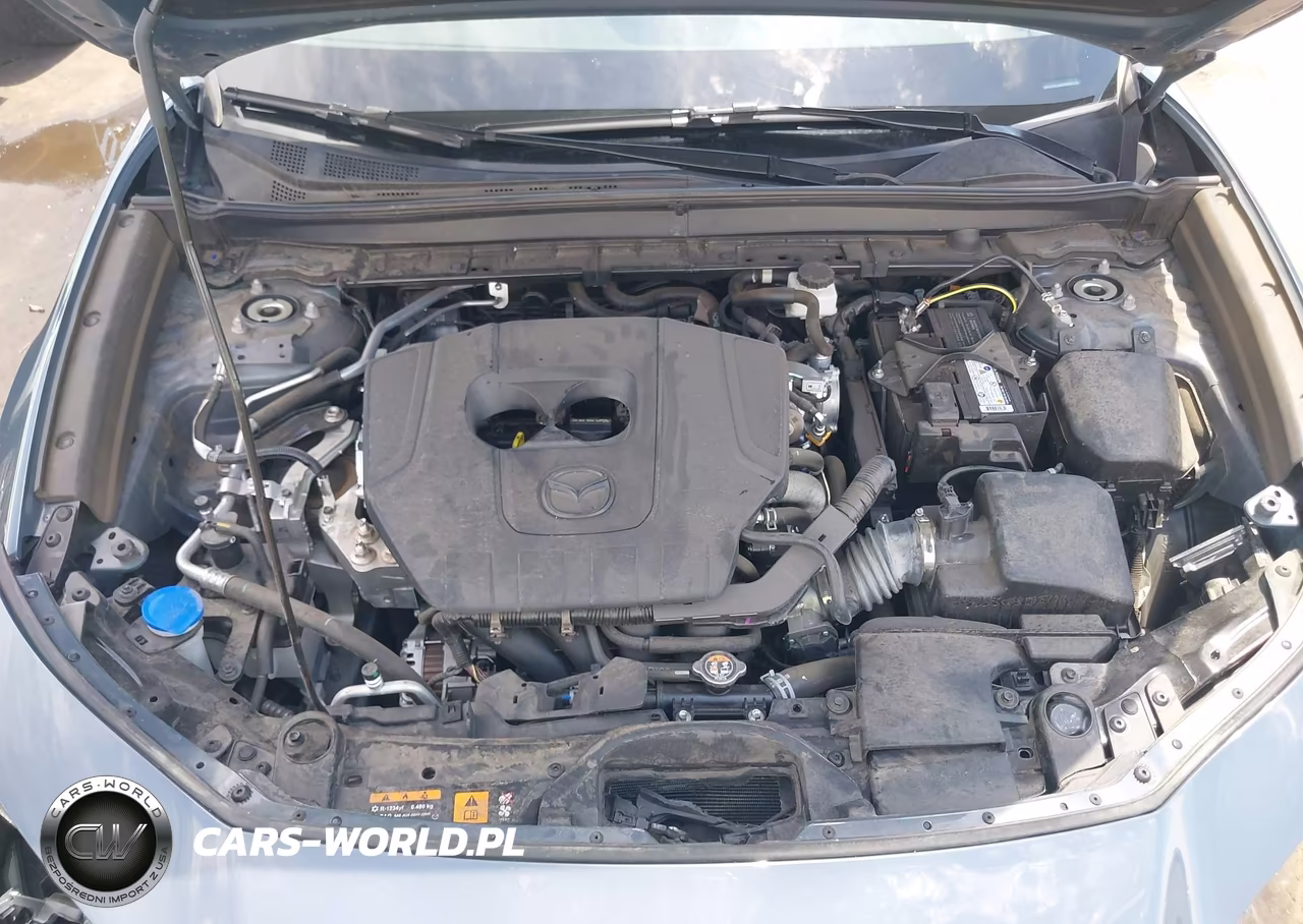 2024 Mazda Cx-30 2.5 S Carbon Edition VIN:3MVDMBCM4RM665587 - 10