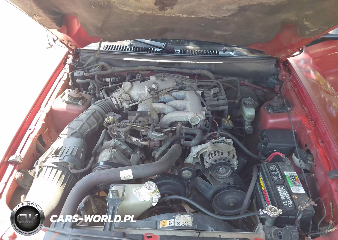 2001 Ford Mustang VIN:1FAFP40491F143176 - 10