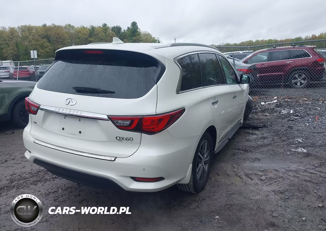2020 Infiniti Qx60 Luxe Awd VIN:5N1DL0MM0LC539545 - 4