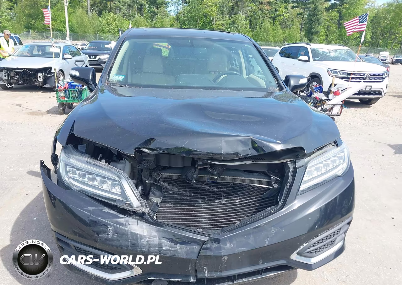 2017 Acura Rdx Technology Acurawatch Plus Packages-W-Technology Package VIN:5J8TB4H51HL001958 - 13
