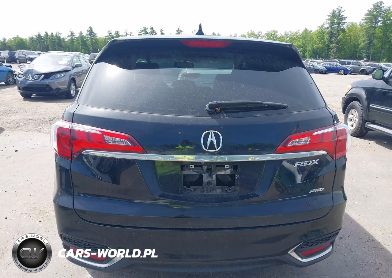 2017 Acura Rdx Technology Acurawatch Plus Packages-W-Technology Package VIN:5J8TB4H51HL001958 - 17