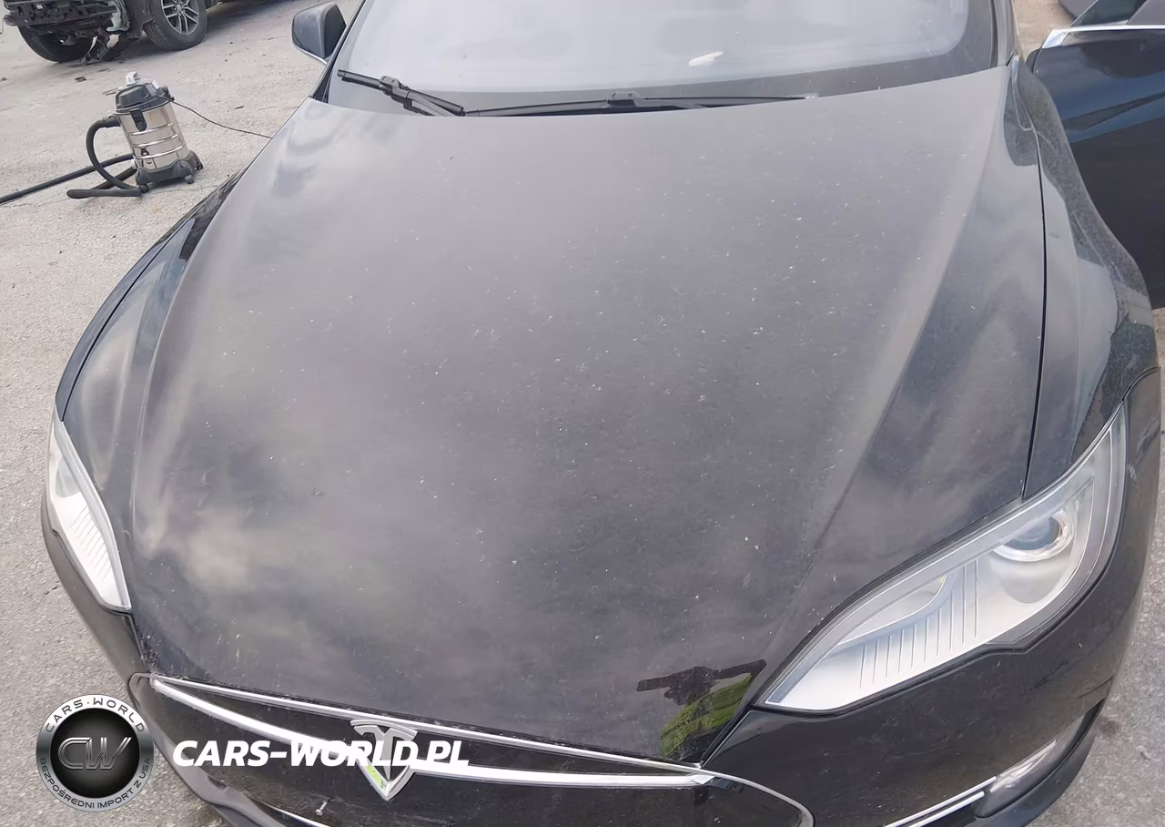 2015 Tesla Model S 70D-85D-P85D VIN:5YJSA1S26FF088198 - 10