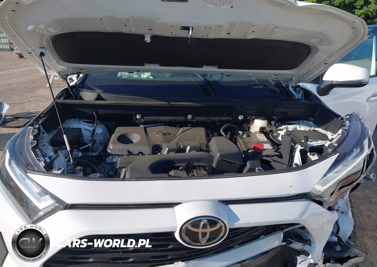 2025 Toyota Rav4 Xle VIN:2T3P1RFV0SC562032 - 10