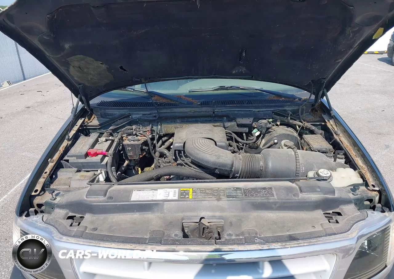 2002 Ford F150 VIN:1FTRX17W12NB36680 - 10