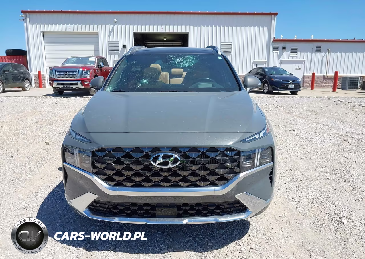2023 Hyundai Santa Fe Calligraphy VIN:5NMS54AL6PH520501 - 12