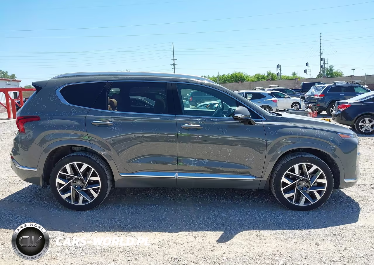 2023 Hyundai Santa Fe Calligraphy VIN:5NMS54AL6PH520501 - 13