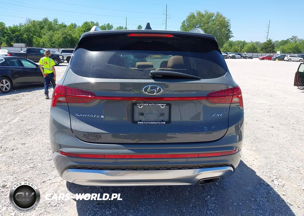 2023 Hyundai Santa Fe Calligraphy VIN:5NMS54AL6PH520501 - 16