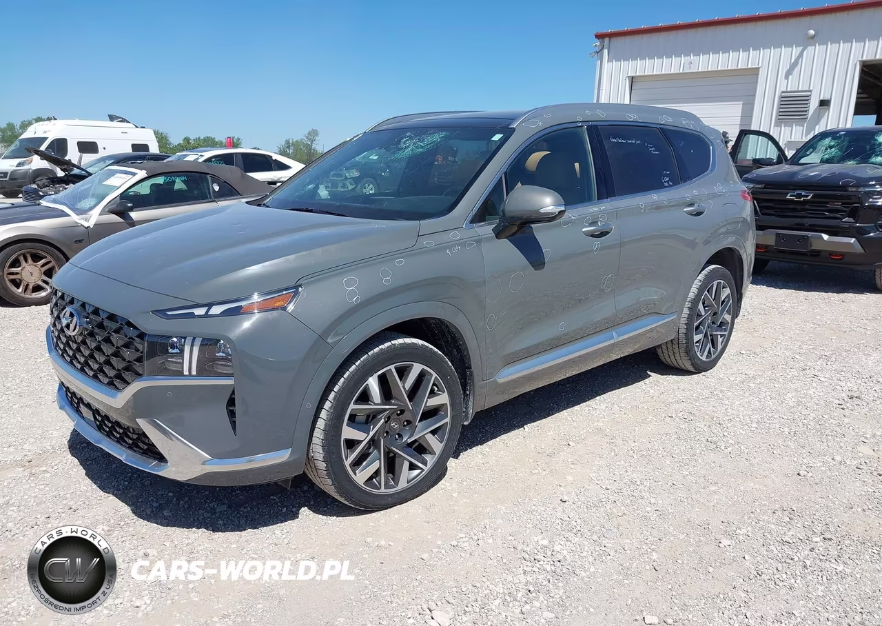 2023 Hyundai Santa Fe Calligraphy VIN:5NMS54AL6PH520501 - 2
