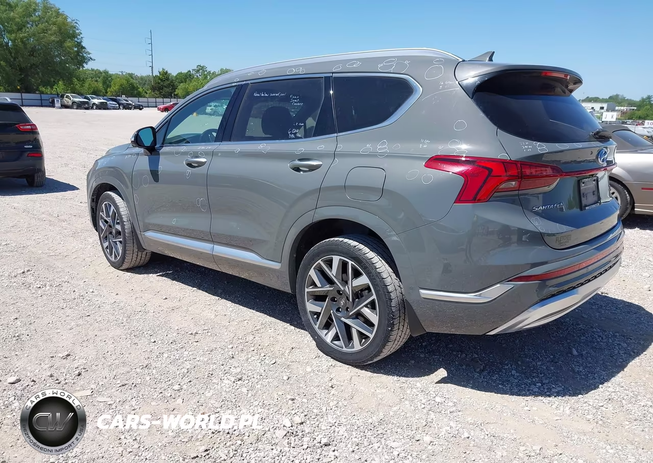2023 Hyundai Santa Fe Calligraphy VIN:5NMS54AL6PH520501 - 3