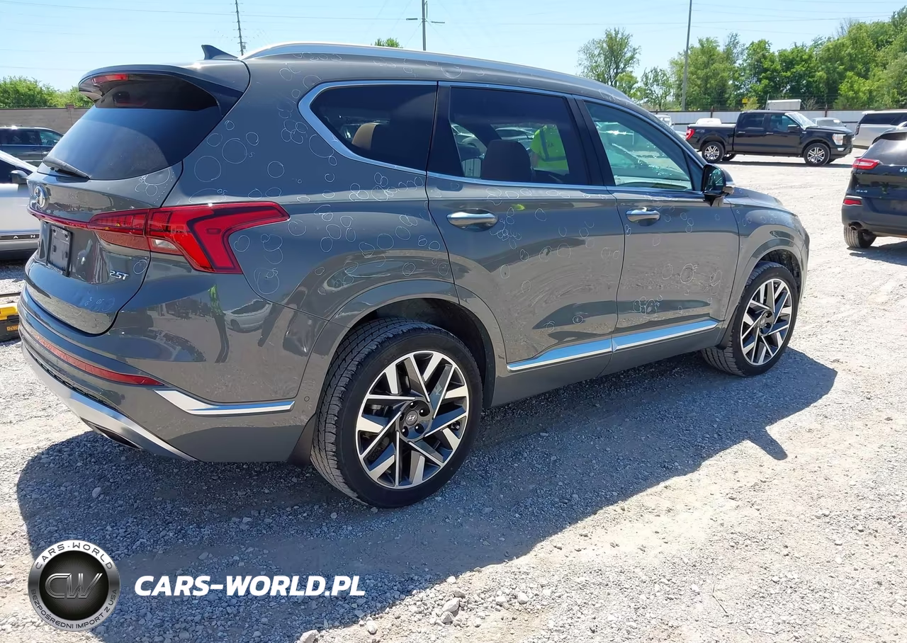 2023 Hyundai Santa Fe Calligraphy VIN:5NMS54AL6PH520501 - 4