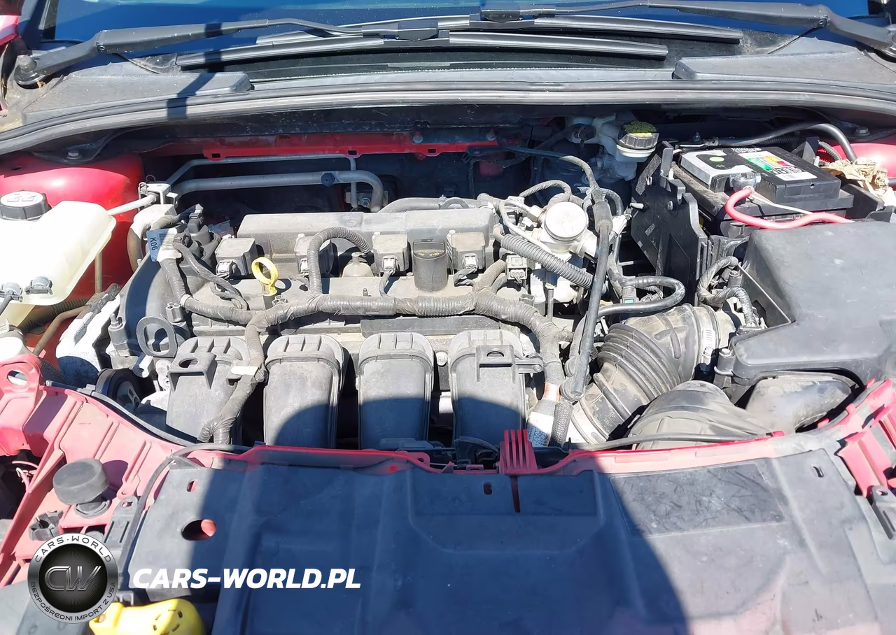 2016 Ford Focus Se VIN:1FADP3K21GL290938 - 10