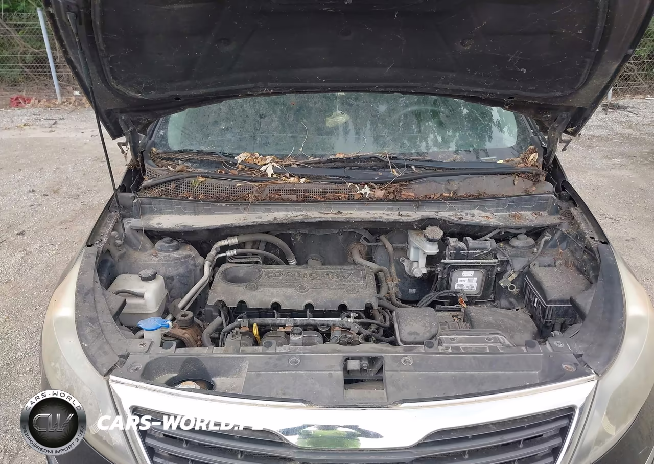 2011 Kia Sportage Lx VIN:KNDPB3A2XB7028750 - 10