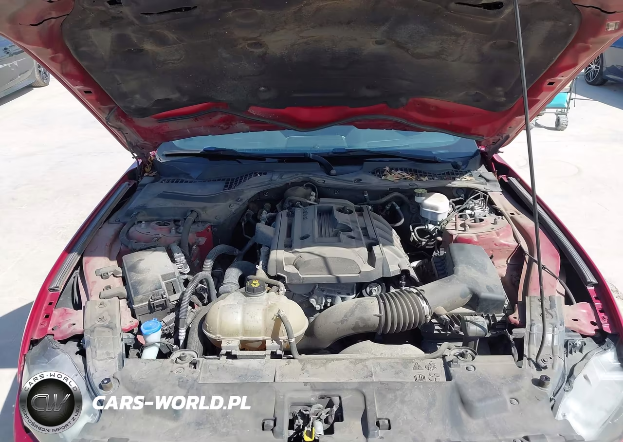 2020 Ford Mustang Ecoboost Fastback VIN:1FA6P8TH9L5181411 - 10