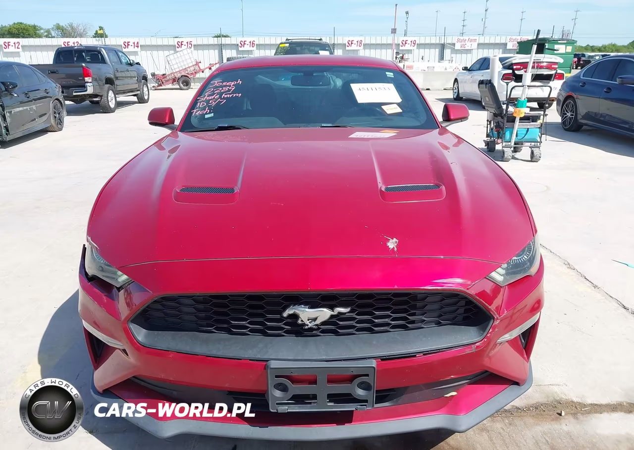 2020 Ford Mustang Ecoboost Fastback VIN:1FA6P8TH9L5181411 - 13