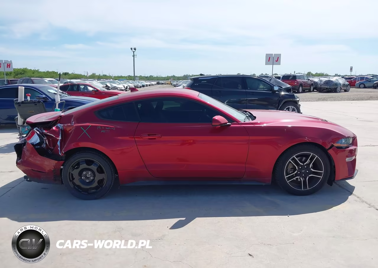 2020 Ford Mustang Ecoboost Fastback VIN:1FA6P8TH9L5181411 - 14