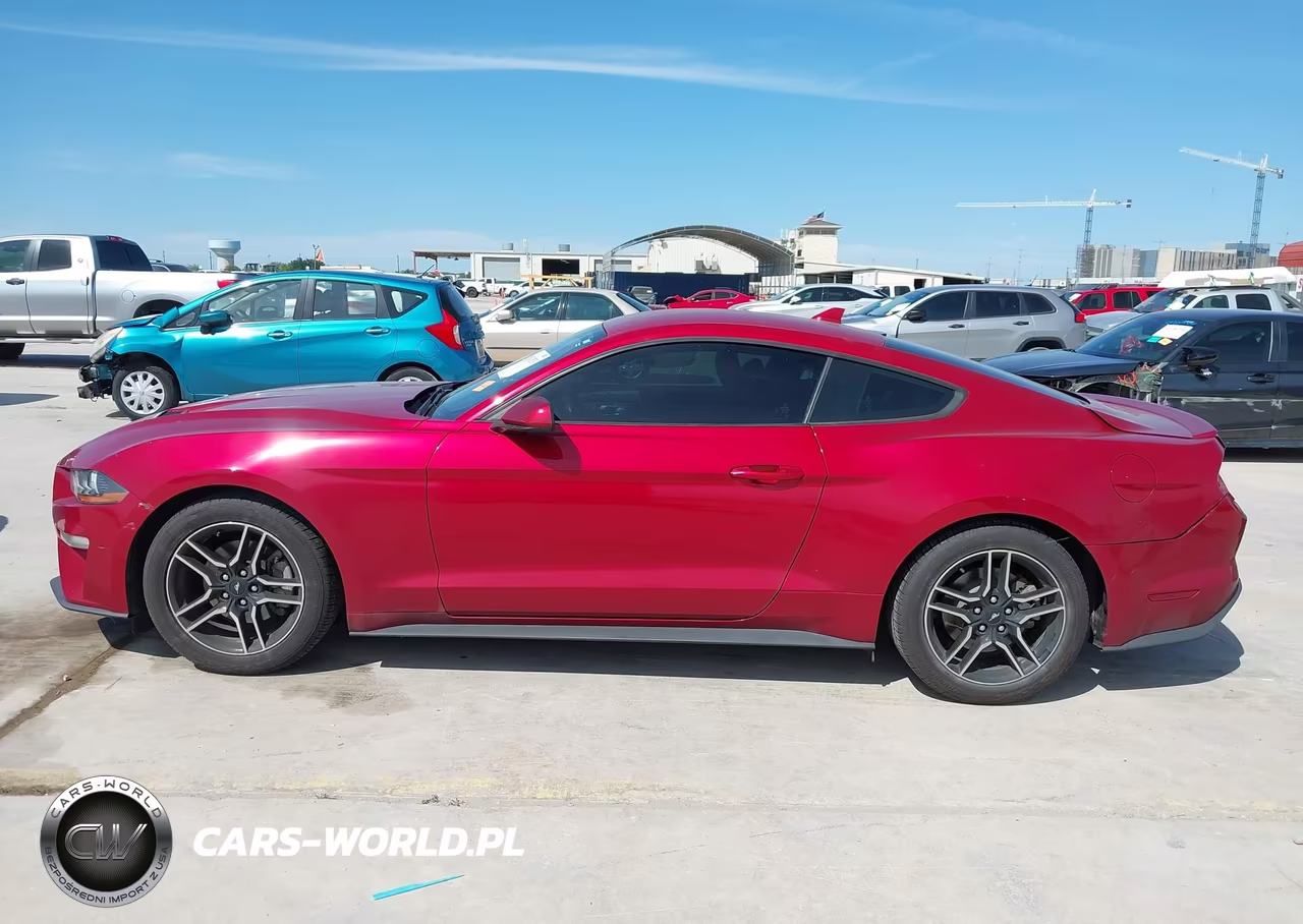 2020 Ford Mustang Ecoboost Fastback VIN:1FA6P8TH9L5181411 - 15