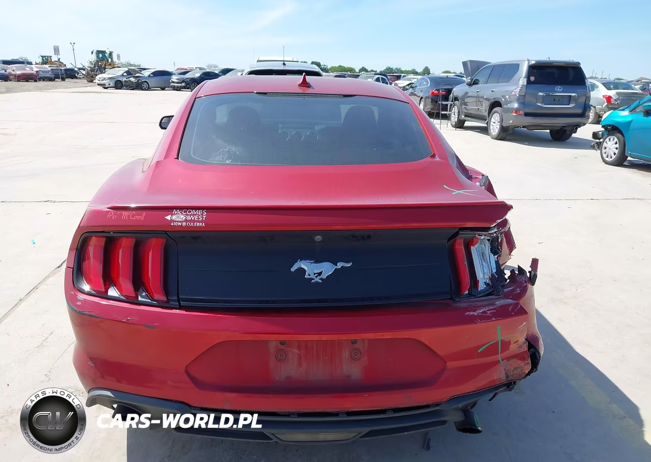 2020 Ford Mustang Ecoboost Fastback VIN:1FA6P8TH9L5181411 - 17