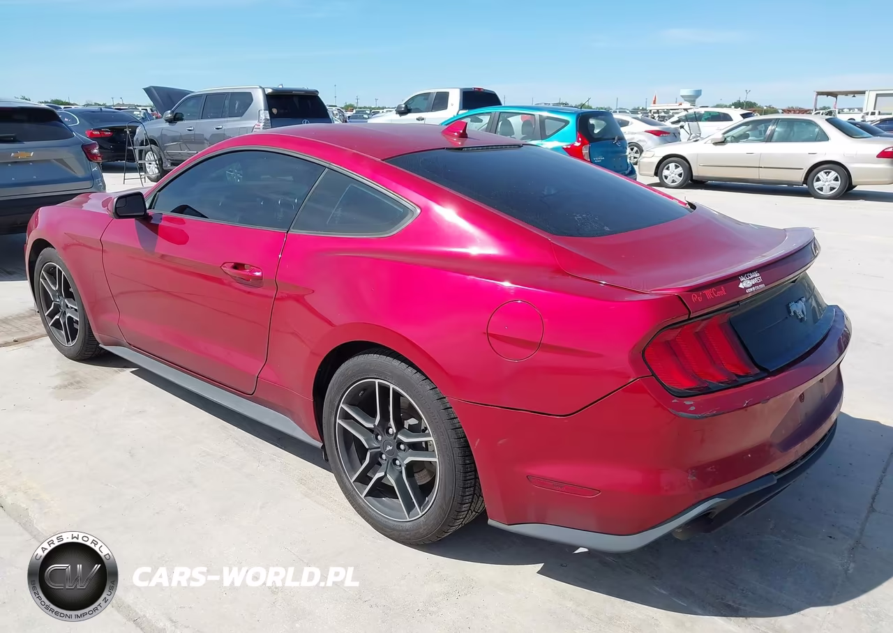 2020 Ford Mustang Ecoboost Fastback VIN:1FA6P8TH9L5181411 - 3