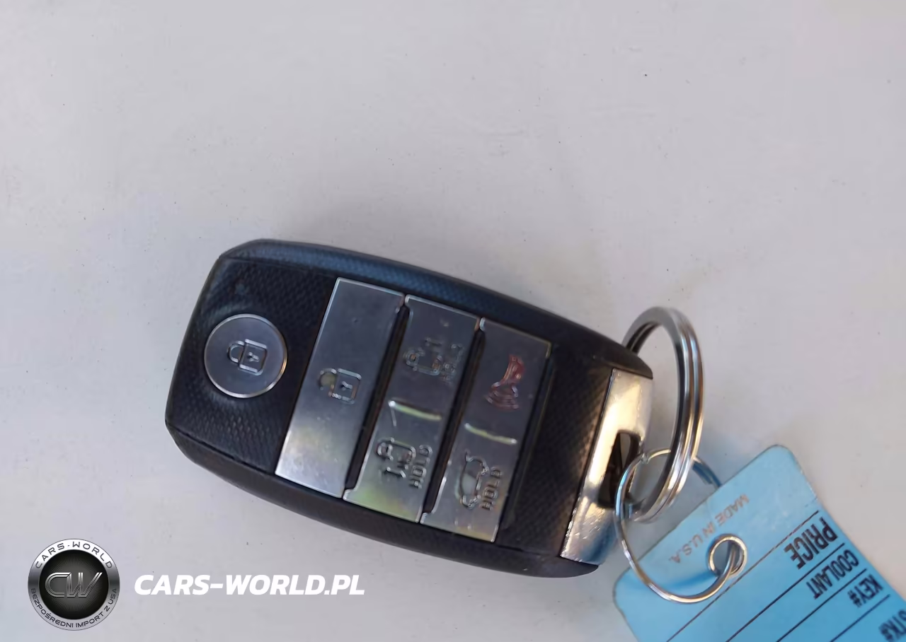 2015 Kia Sedona Ex VIN:KNDMC5C10F6031619 - 11