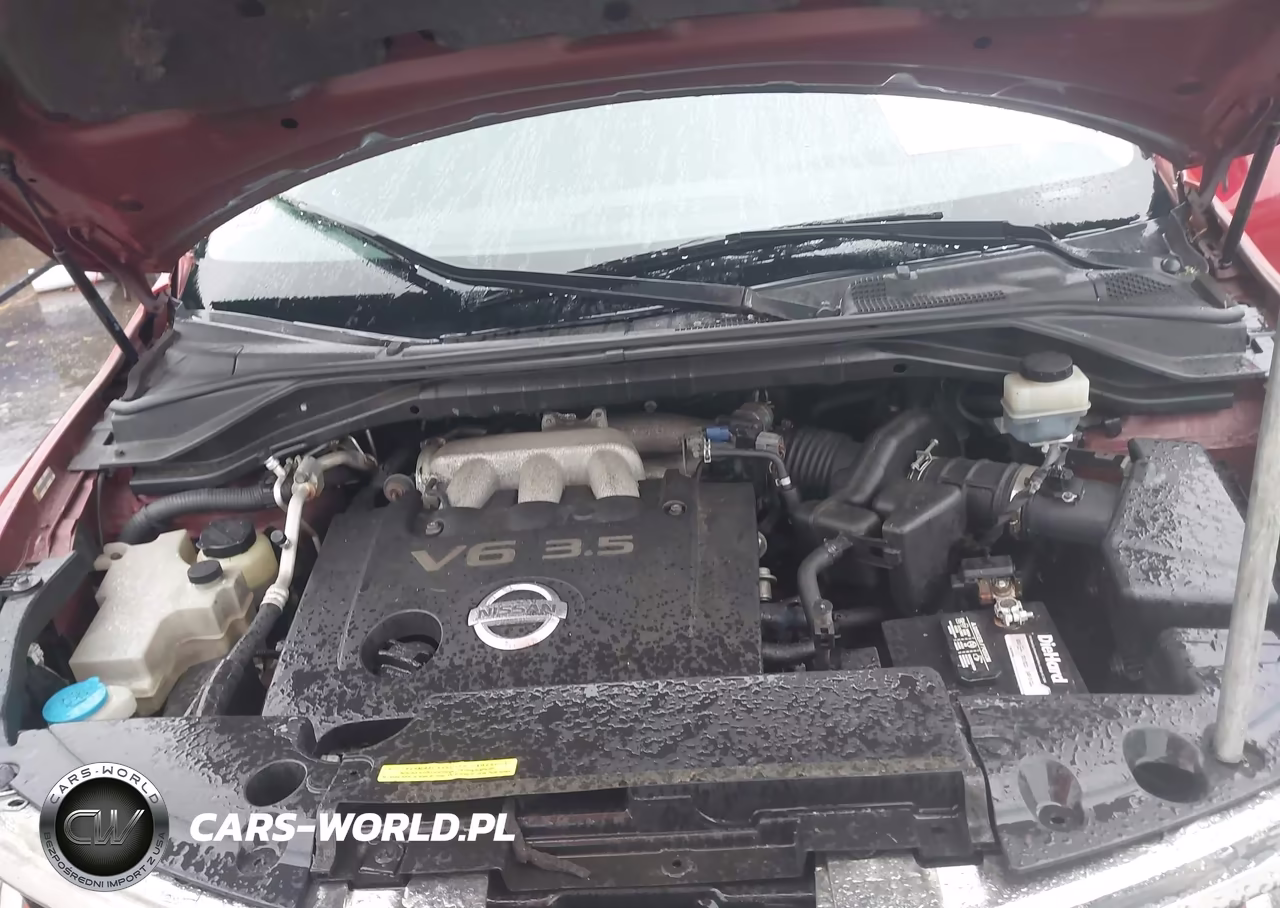 2007 Nissan Murano Sl VIN:JN8AZ08W07W661719 - 10